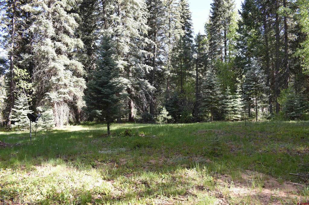 Tbd Trust Drive Vallecito Lake/bayfield CO 81122