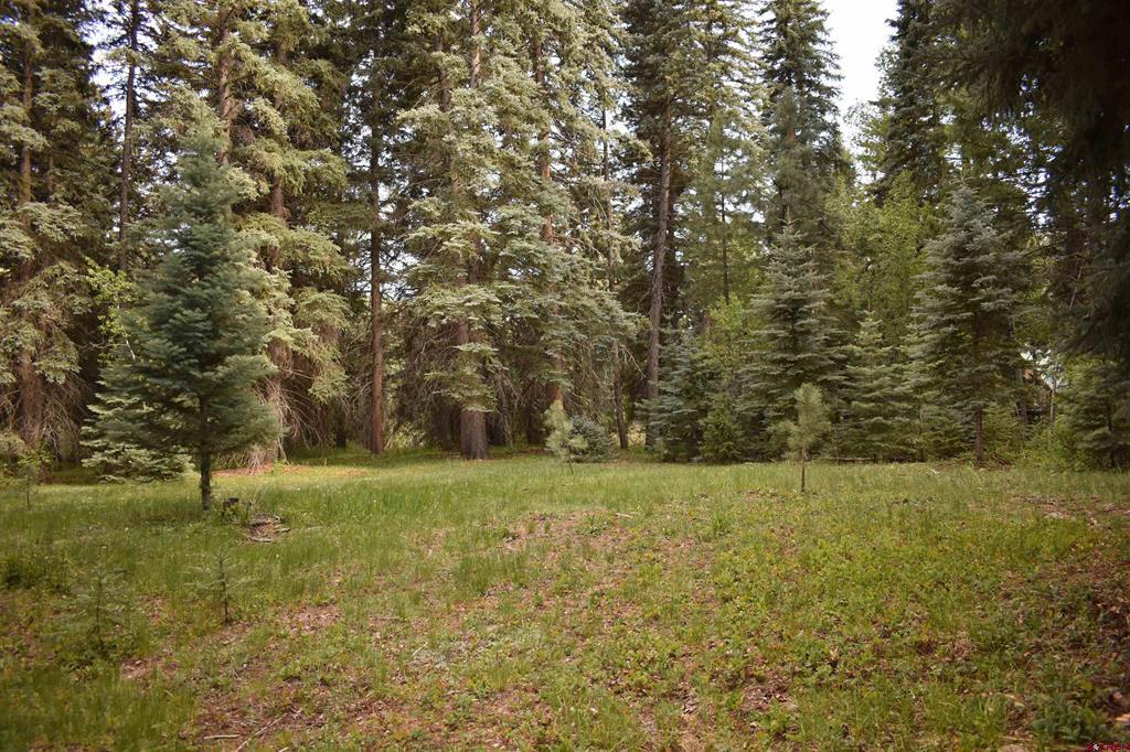 Tbd Trust Drive Vallecito Lake/bayfield CO 81122