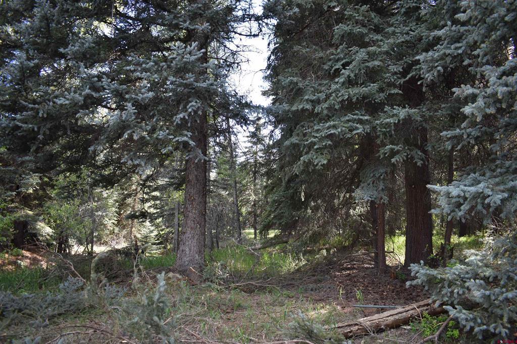 Tbd Trust Drive Vallecito Lake/bayfield CO 81122