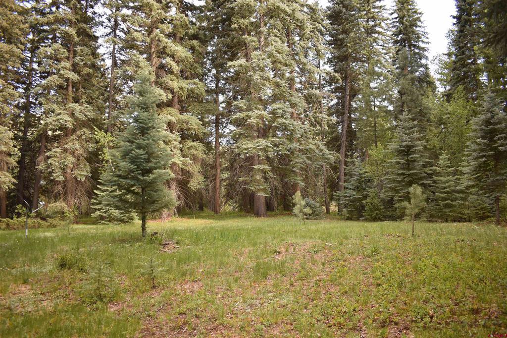 Tbd Trust Drive Vallecito Lake/bayfield CO 81122