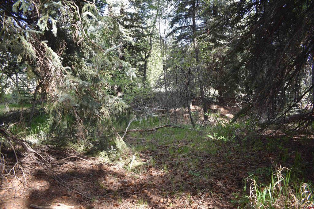 Tbd Trust Drive Vallecito Lake/bayfield CO 81122