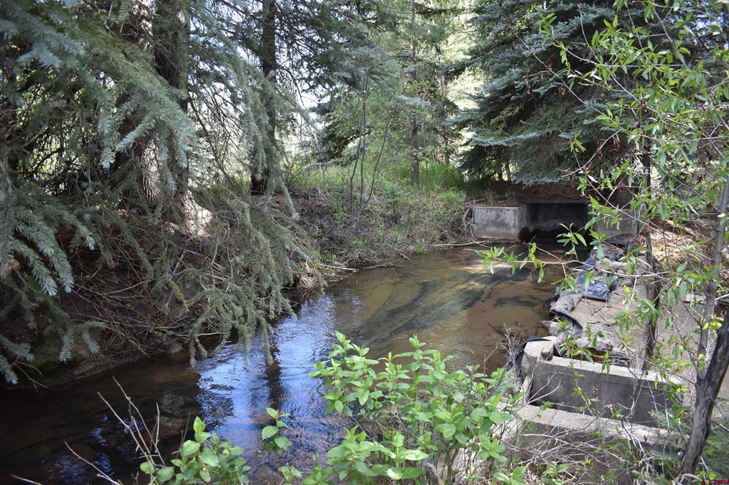 Tbd Trust Drive Vallecito Lake/bayfield CO 81122