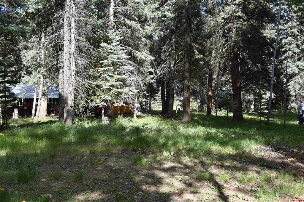 Tbd Trust Drive Vallecito Lake/bayfield CO 81122