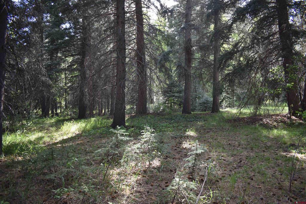Tbd Trust Drive Vallecito Lake/bayfield CO 81122