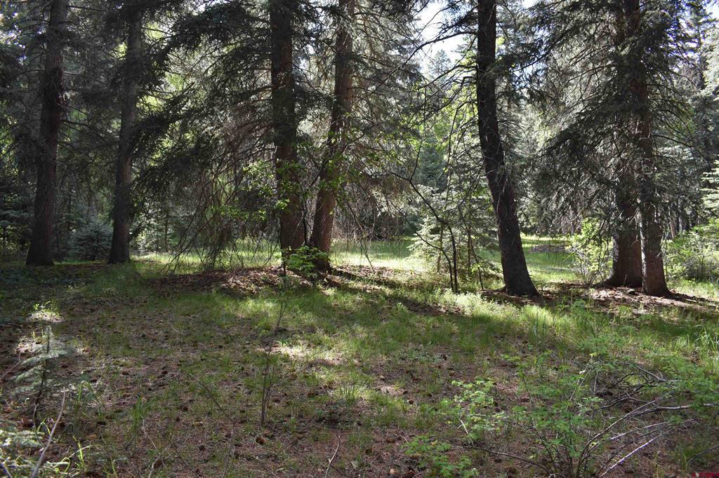 Tbd Trust Drive Vallecito Lake/bayfield CO 81122