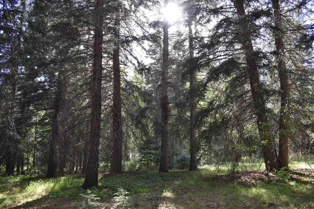 Tbd Trust Drive Vallecito Lake/bayfield CO 81122