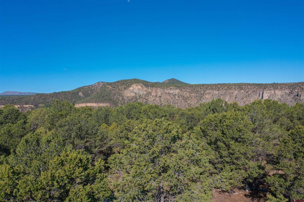 Tbd Pinon Ridgway CO 81403