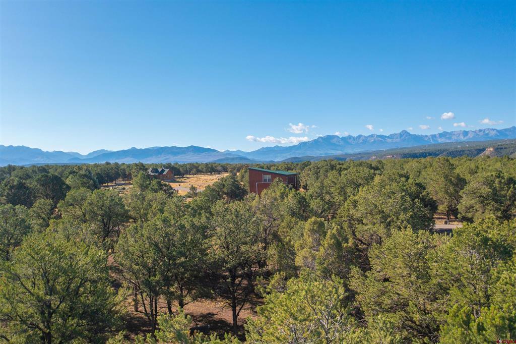 Tbd Pinon Ridgway CO 81403
