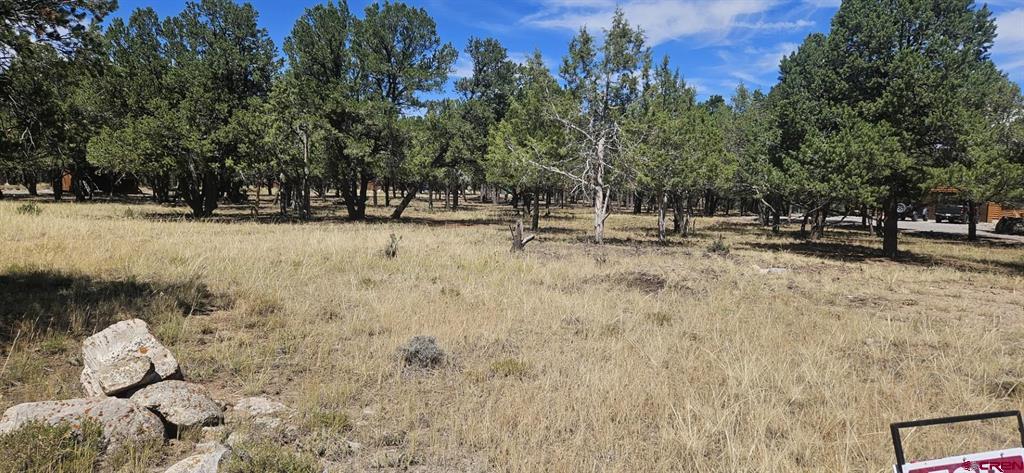 Tbd Pinon Ridgway CO 81403