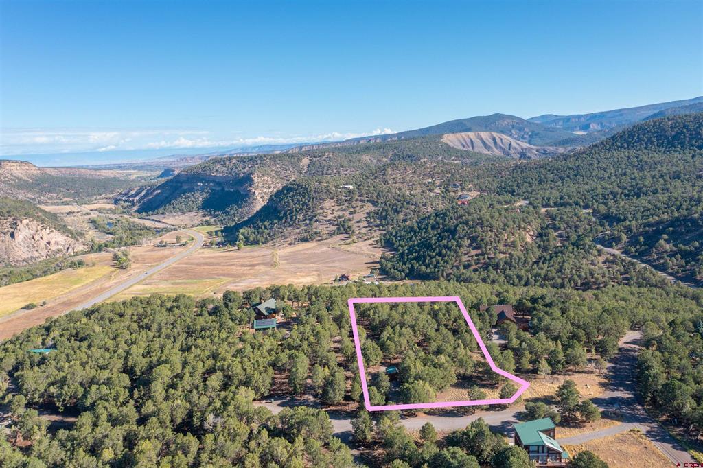 Tbd Pinon Ridgway CO 81403