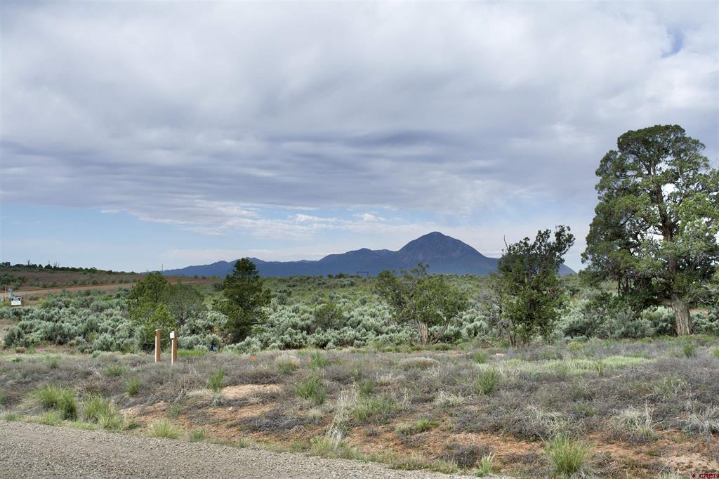 Lot 6 Road 24.3 Cortez CO 81321