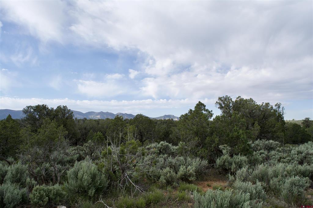 Lot 6 Road 24.3 Cortez CO 81321