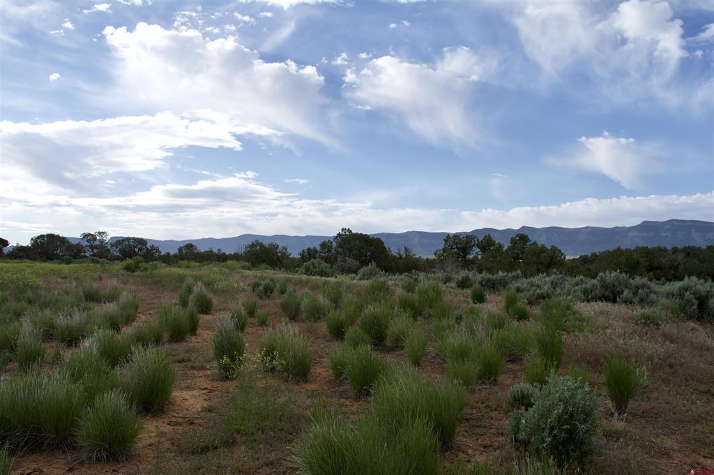 Lot 6 Road 24.3 Cortez CO 81321