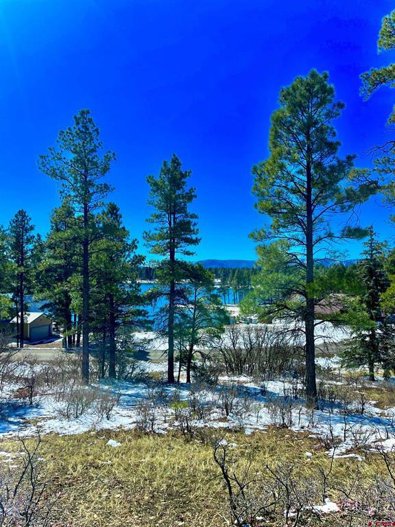 1318 Cloud Cap Avenue Pagosa Springs CO 81147