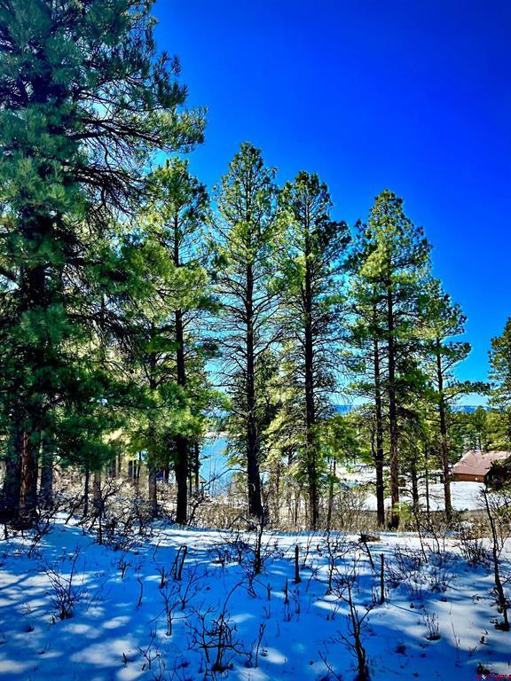 1318 Cloud Cap Avenue Pagosa Springs CO 81147