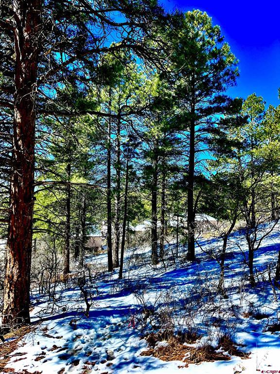 1318 Cloud Cap Avenue Pagosa Springs CO 81147