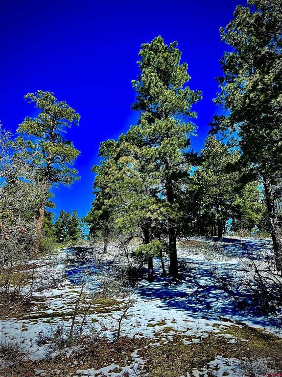 1318 Cloud Cap Avenue Pagosa Springs CO 81147