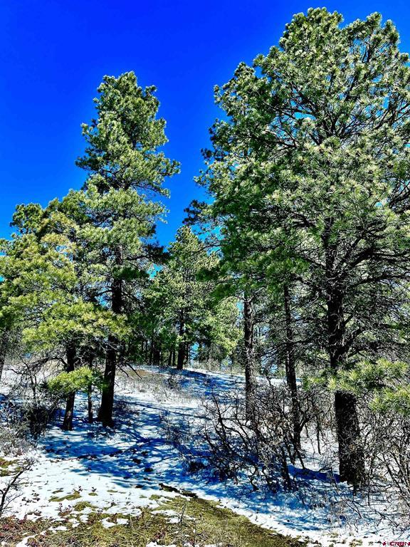 1318 Cloud Cap Avenue Pagosa Springs CO 81147