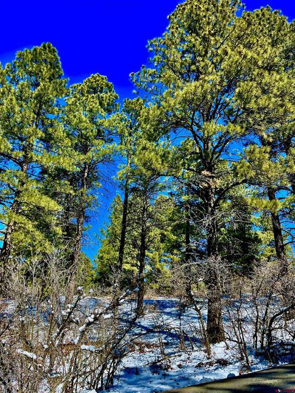 1318 Cloud Cap Avenue Pagosa Springs CO 81147