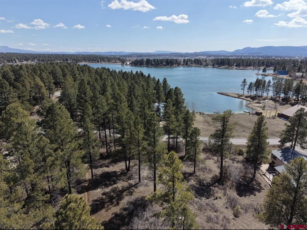 1318 Cloud Cap Avenue Pagosa Springs CO 81147