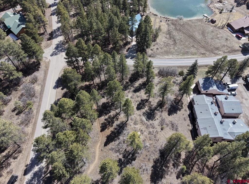 1318 Cloud Cap Avenue Pagosa Springs CO 81147