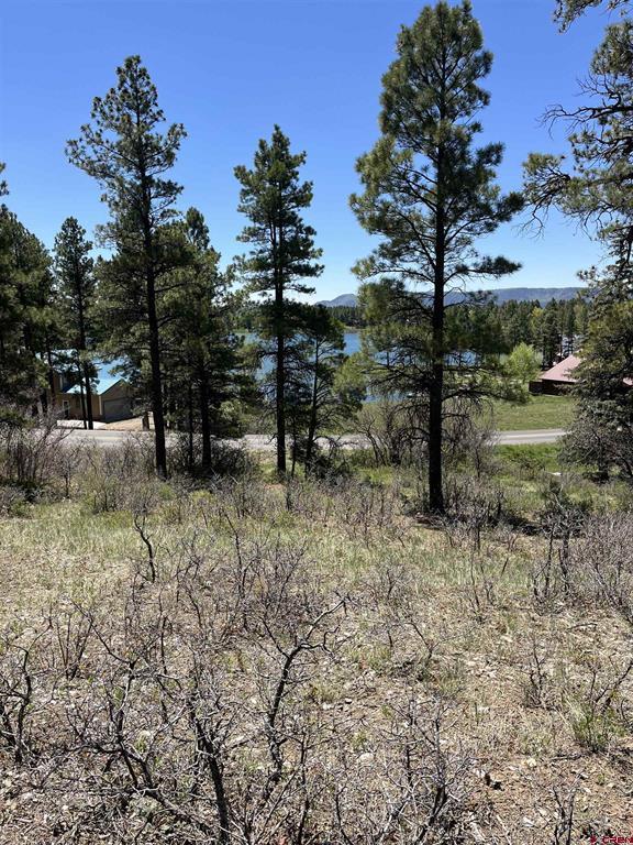 1318 Cloud Cap Avenue Pagosa Springs CO 81147