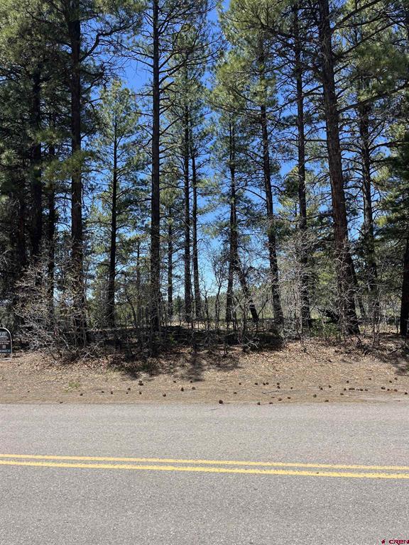 1318 Cloud Cap Avenue Pagosa Springs CO 81147
