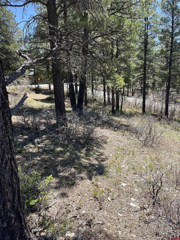 1318 Cloud Cap Avenue Pagosa Springs CO 81147