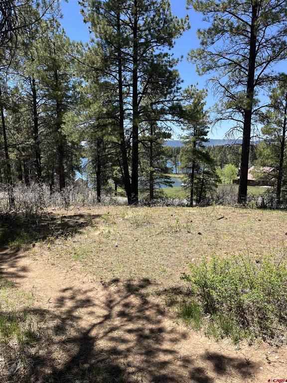1318 Cloud Cap Avenue Pagosa Springs CO 81147