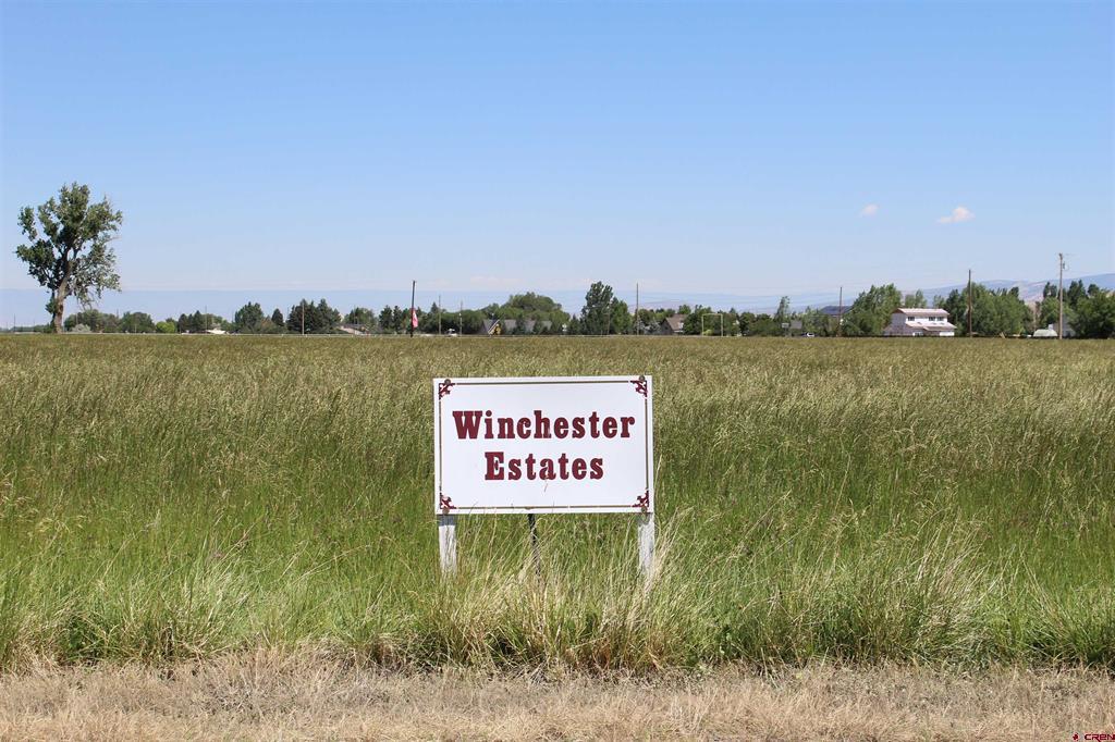 Lot 3 6785 Court Montrose CO 81403