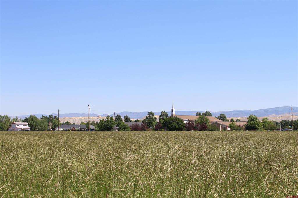 Lot 3 6785 Court Montrose CO 81403