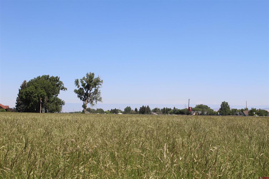 Lot 3 6785 Court Montrose CO 81403