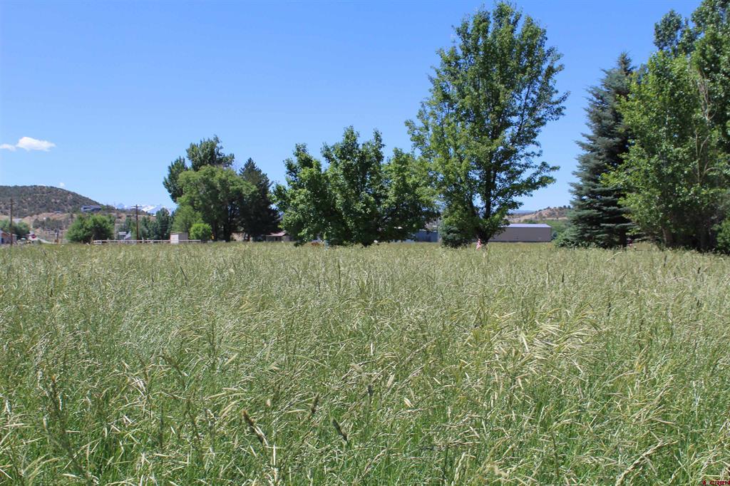 Lot 3 6785 Court Montrose CO 81403