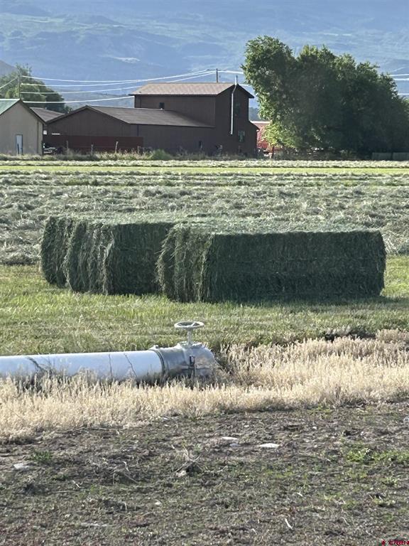 Lot 3 6785 Court Montrose CO 81403