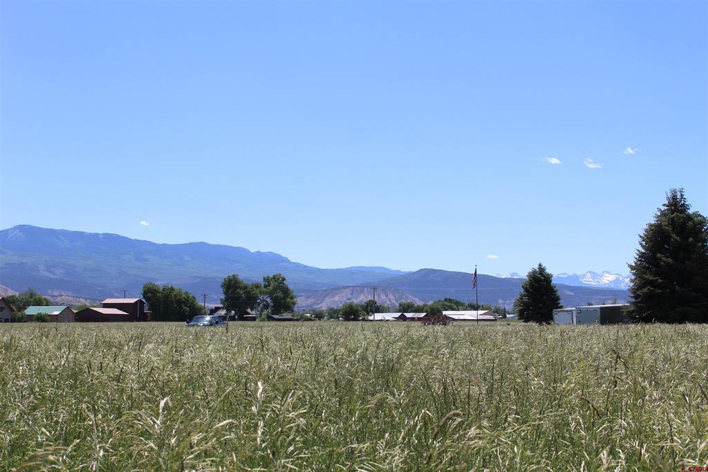 Lot 3 6785 Court Montrose CO 81403