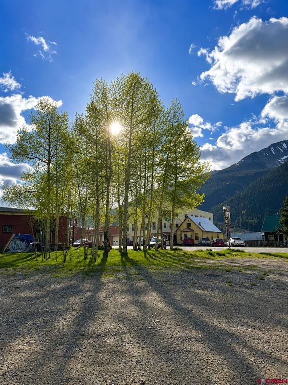 Tbd Greene Street Silverton CO 81433