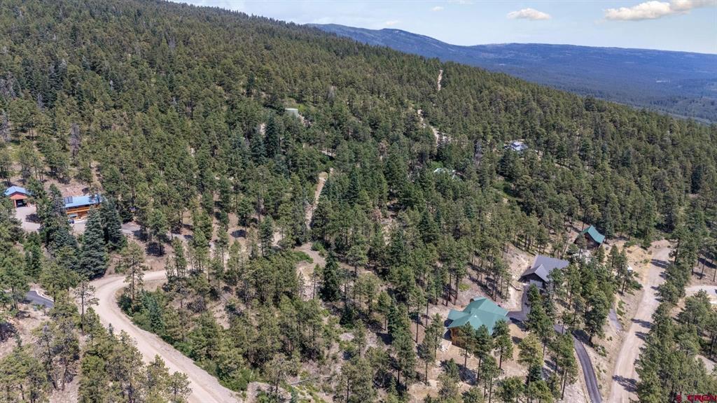 150 And 186 Pine Ridge Bayfield CO 81122