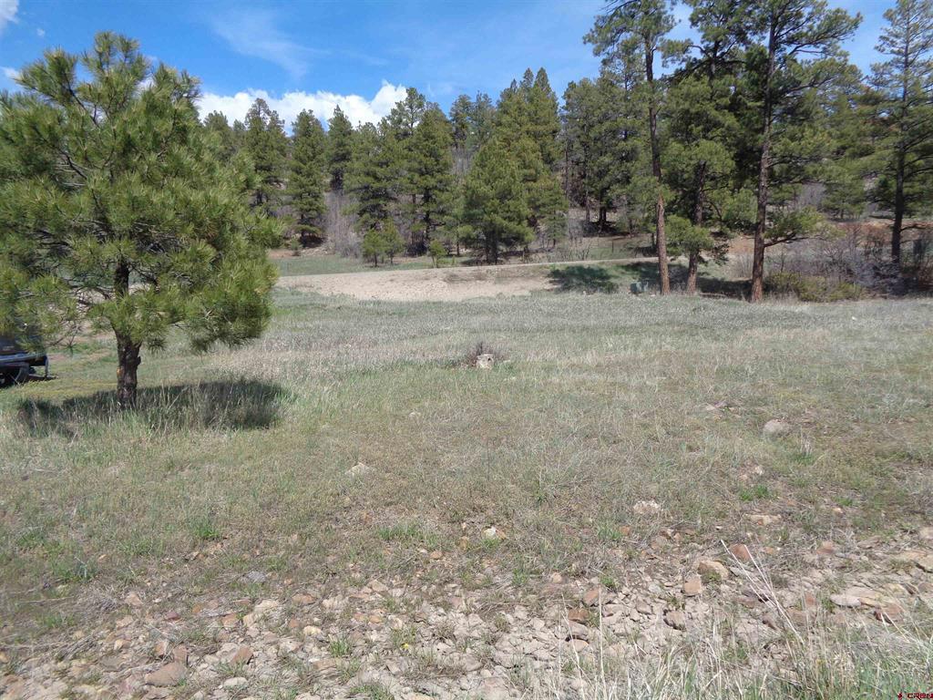 42 Sundown Circle Pagosa Springs CO 81147