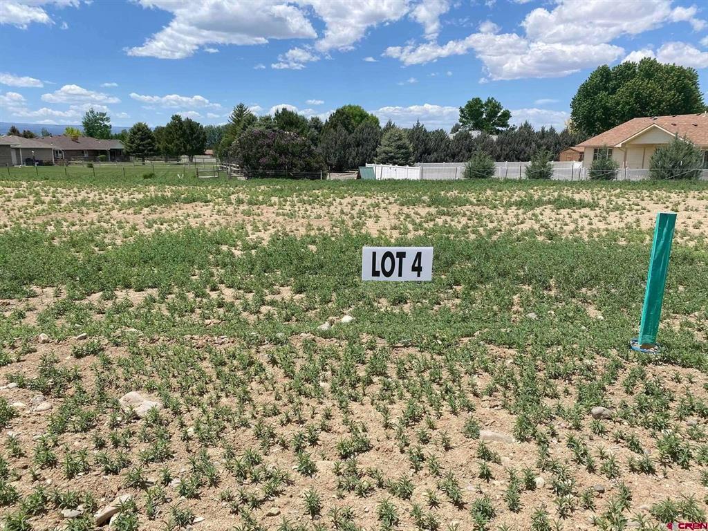 Lot 4 6700 Road Montrose CO 81401