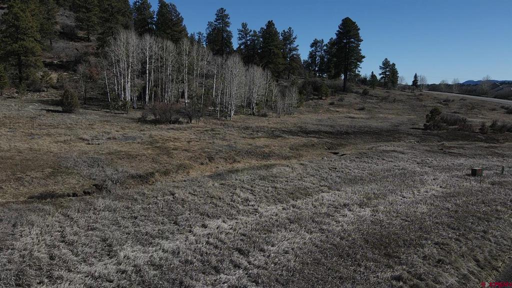 37 Dylan Drive Pagosa Springs CO 81147