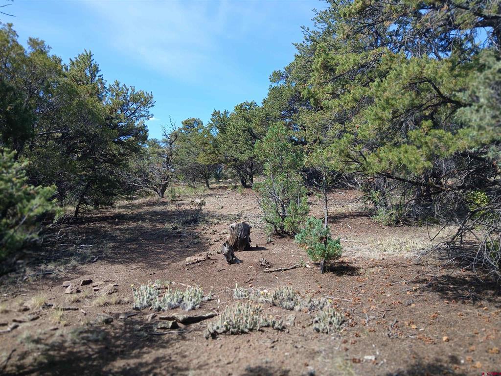 555 Aspen Road South Fork CO 81154