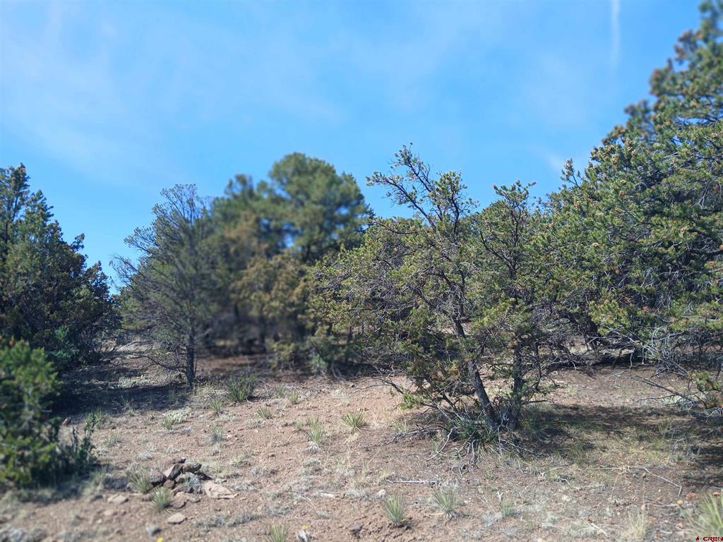 555 Aspen Road South Fork CO 81154