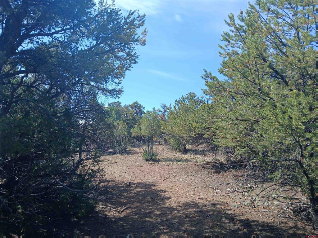 555 Aspen Road South Fork CO 81154