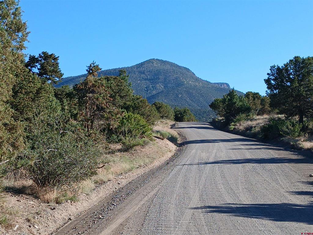 555 Aspen Road South Fork CO 81154