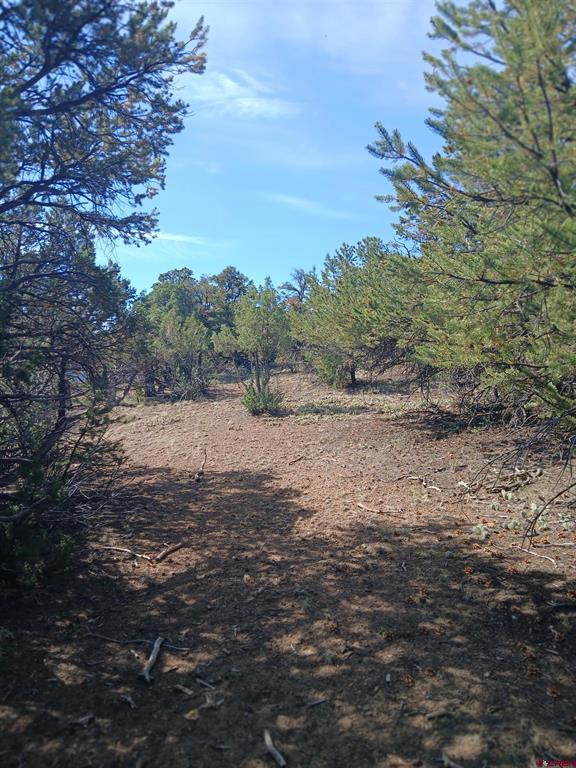 555 Aspen Road South Fork CO 81154