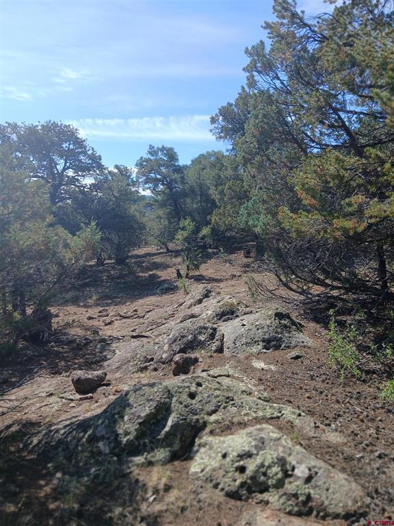 555 Aspen Road South Fork CO 81154