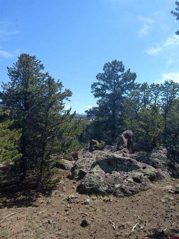 555 Aspen Road South Fork CO 81154