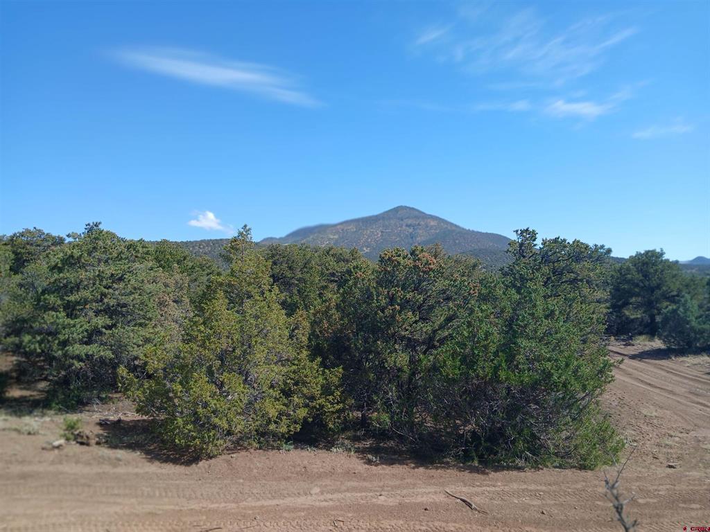 555 Aspen Road South Fork CO 81154