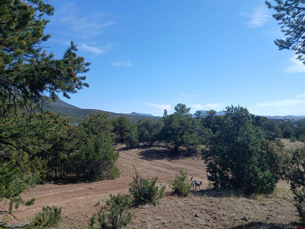 555 Aspen Road South Fork CO 81154