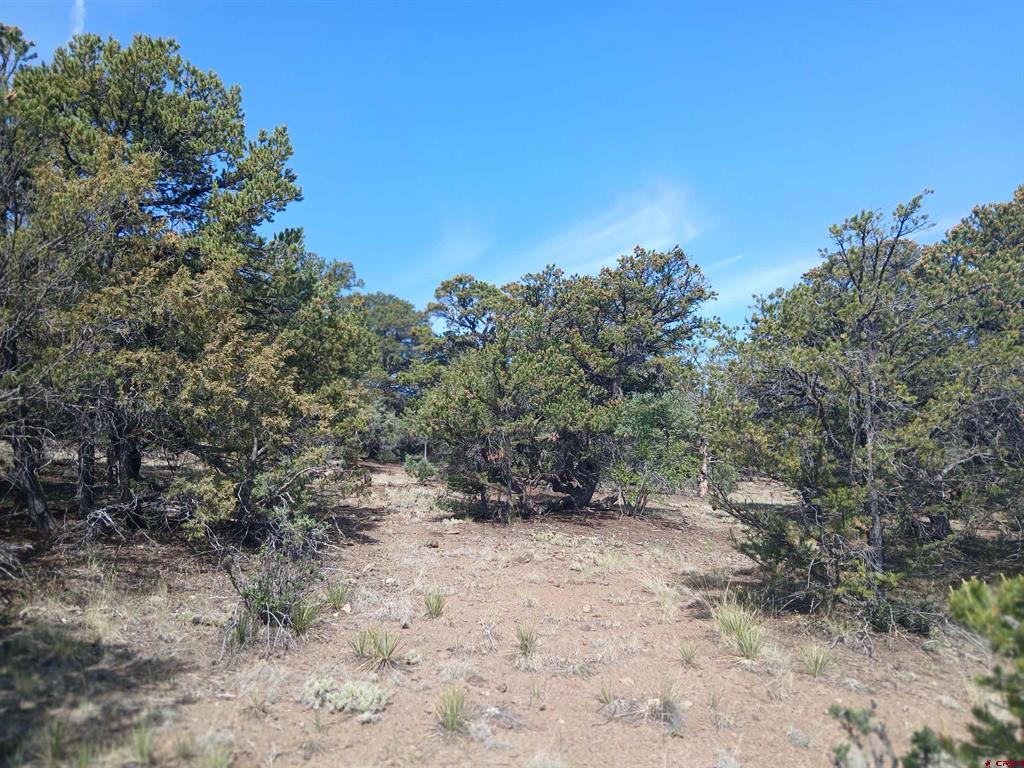 555 Aspen Road South Fork CO 81154